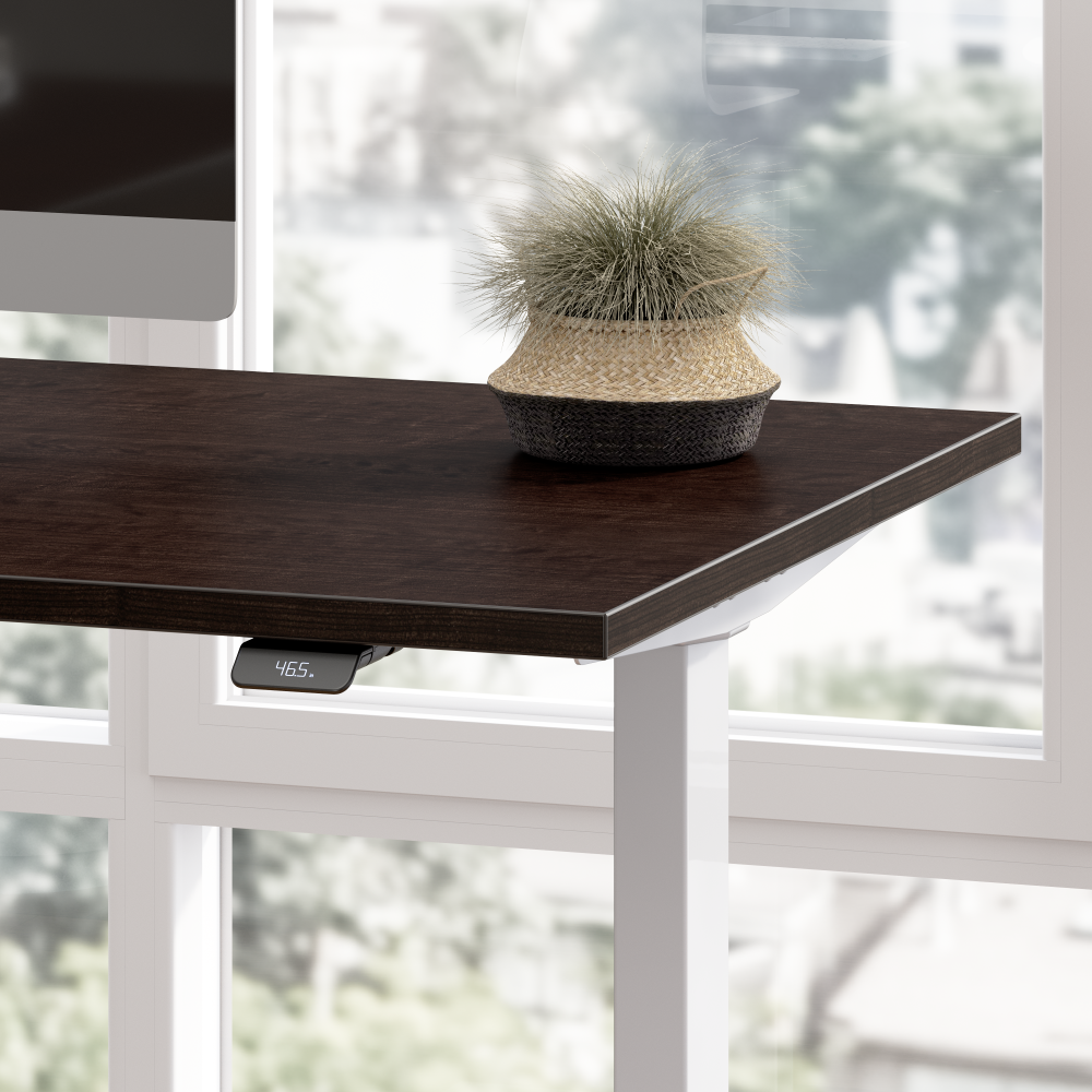 Move 40 Series 48W x 24D Electric Height Adjustable Standing Desk