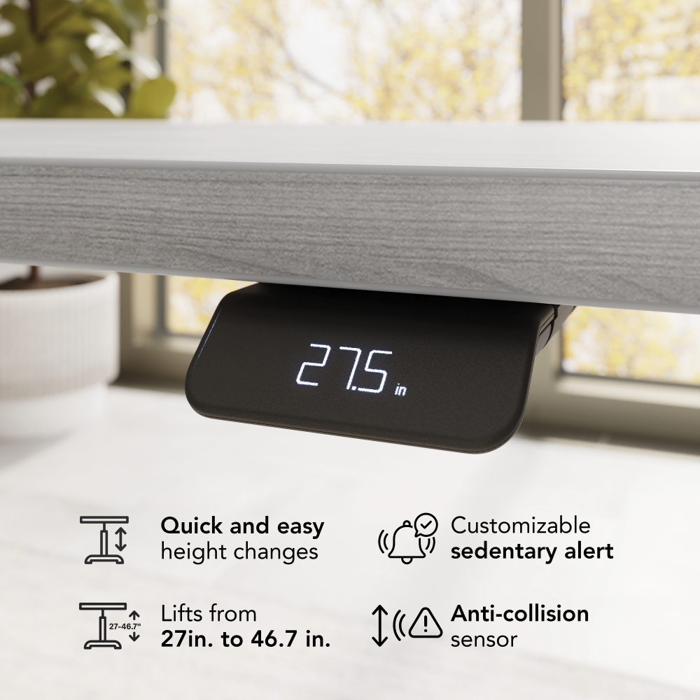 Stratus 60W x 30D Electric Height Adjustable Standing Desk